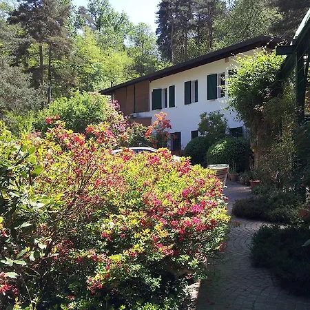 Il Giardino Delle Cince Гостевой дом 3*