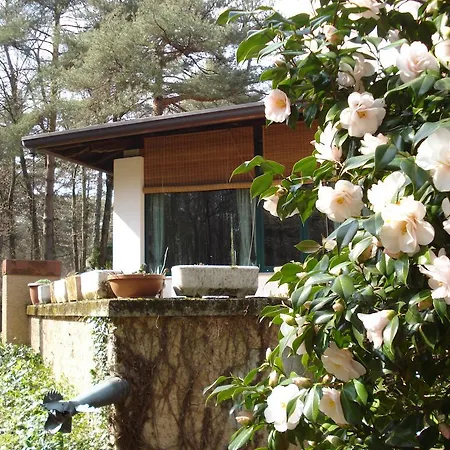 Guest house Il Giardino Delle Cince
