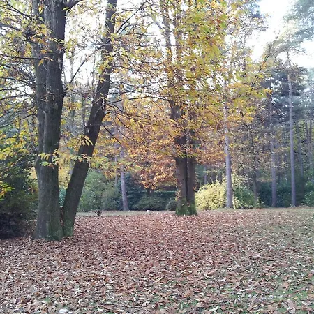 B&B Il Giardino Delle Cince Bed & Breakfast 3*