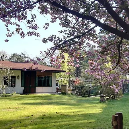 Гостевой дом Il Giardino Delle Cince Borgo Ticino